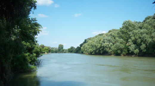762621 (a): :1950x1080